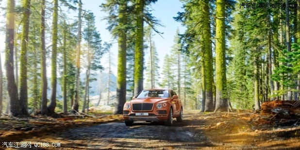 Orange Bentayga driving through the forest on a dirt road surrounded by trees | Bentley Motors